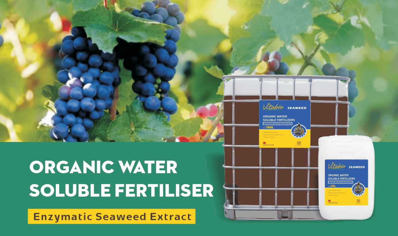 Enzymatic Seaweed Extract